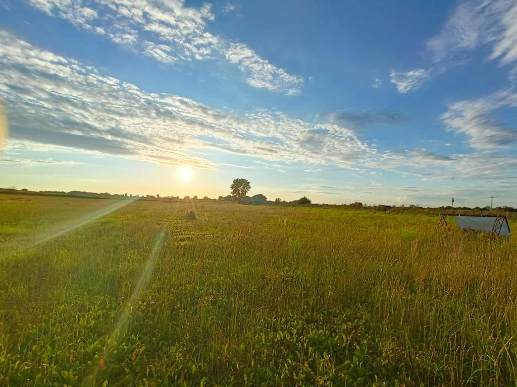 Zdjęcie 6