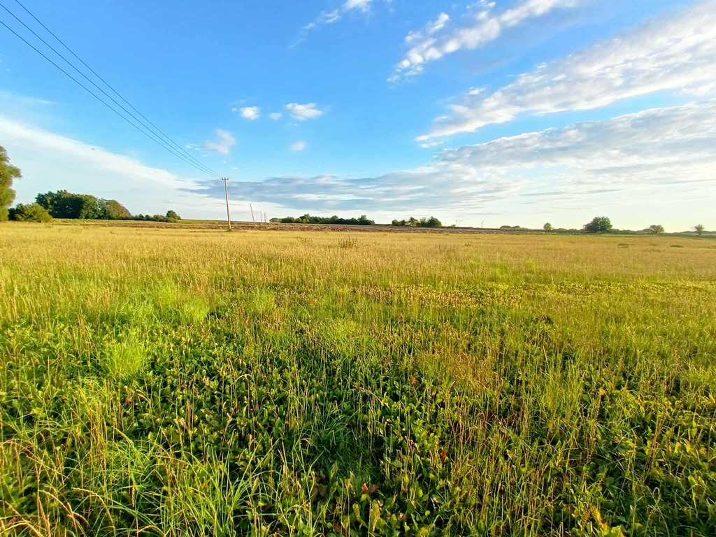 Zdjęcie 19