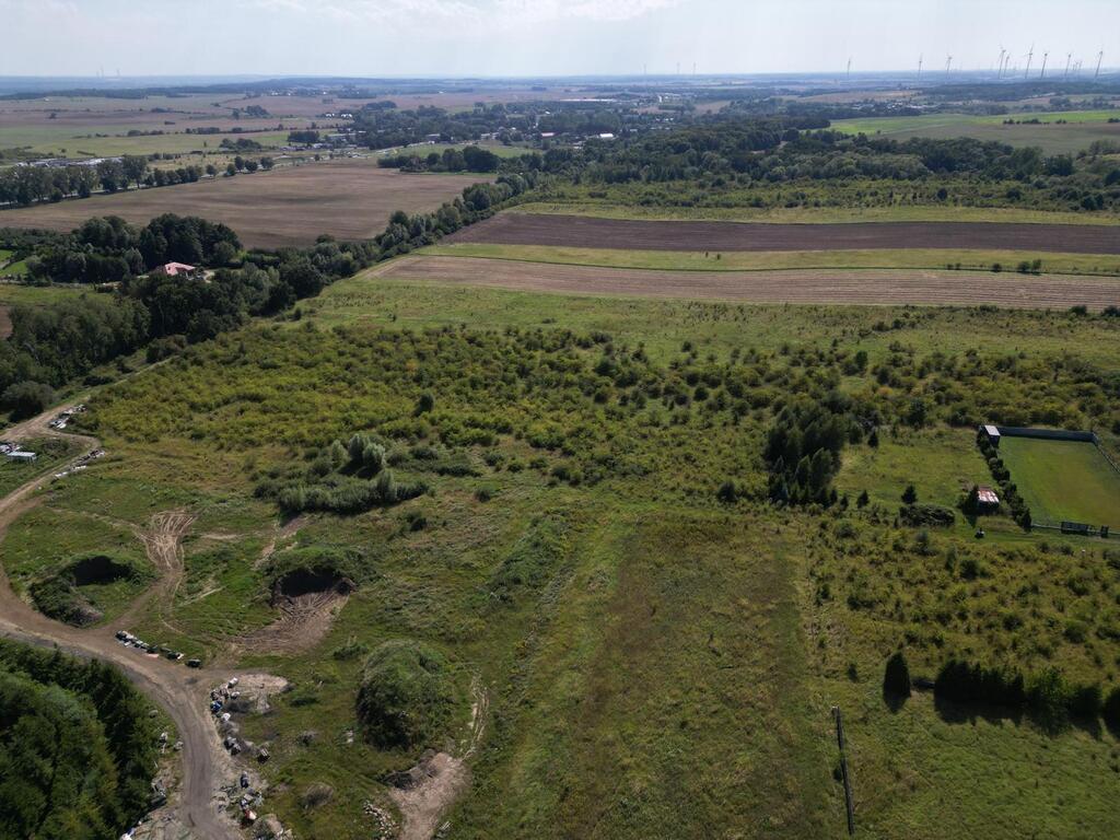 Zdjęcie 15