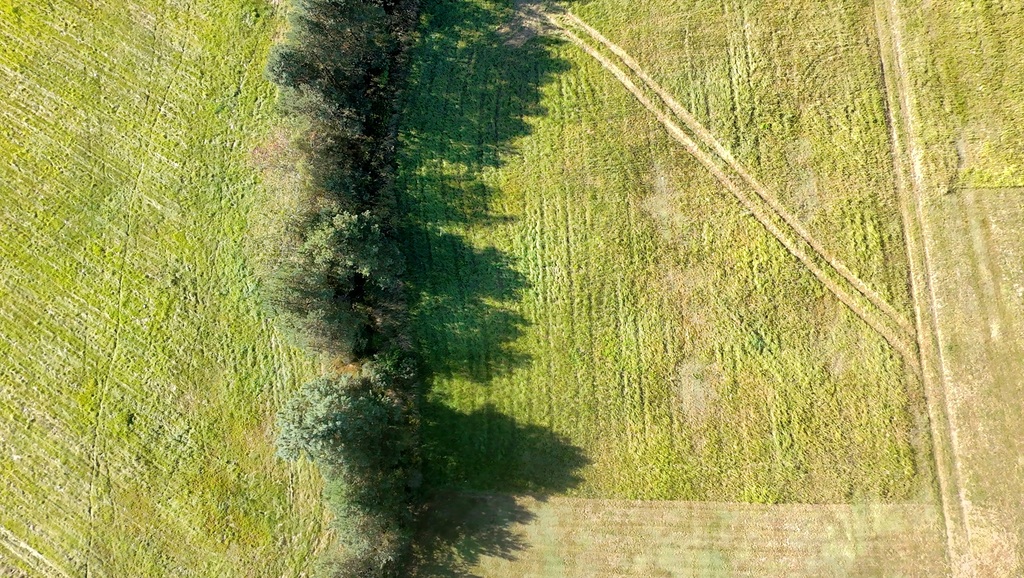 Zdjęcie 4