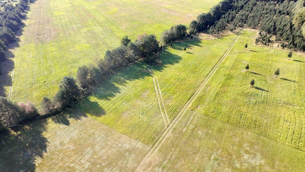 Zdjęcie 10