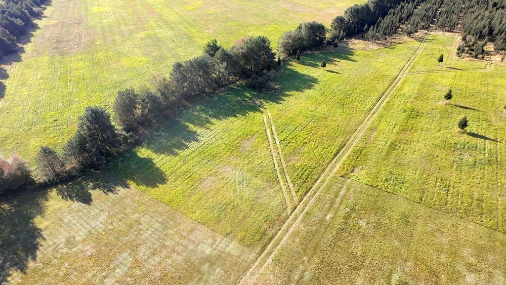 Zdjęcie 11
