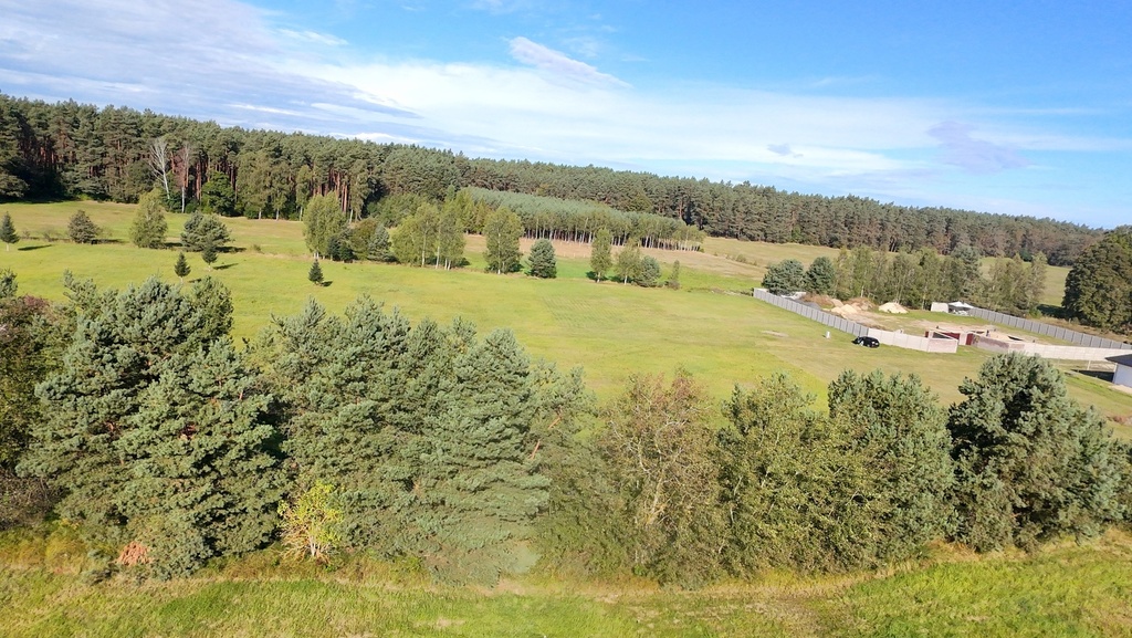 Zdjęcie 16