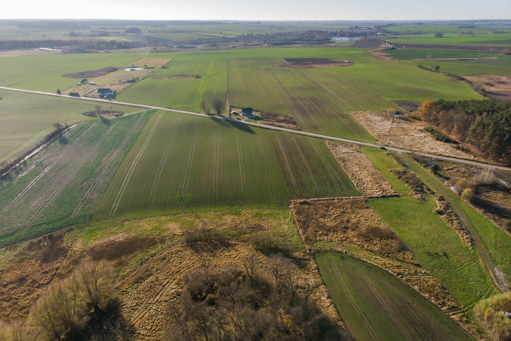 Zdjęcie 14