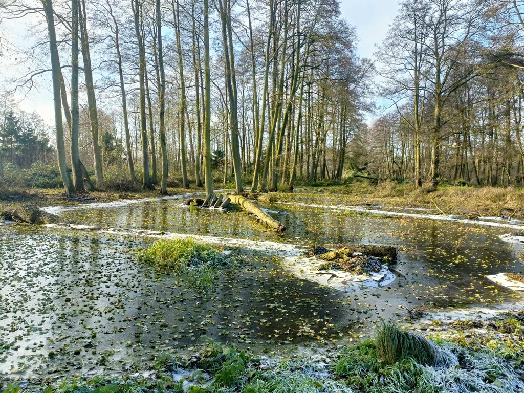 Zdjęcie 7