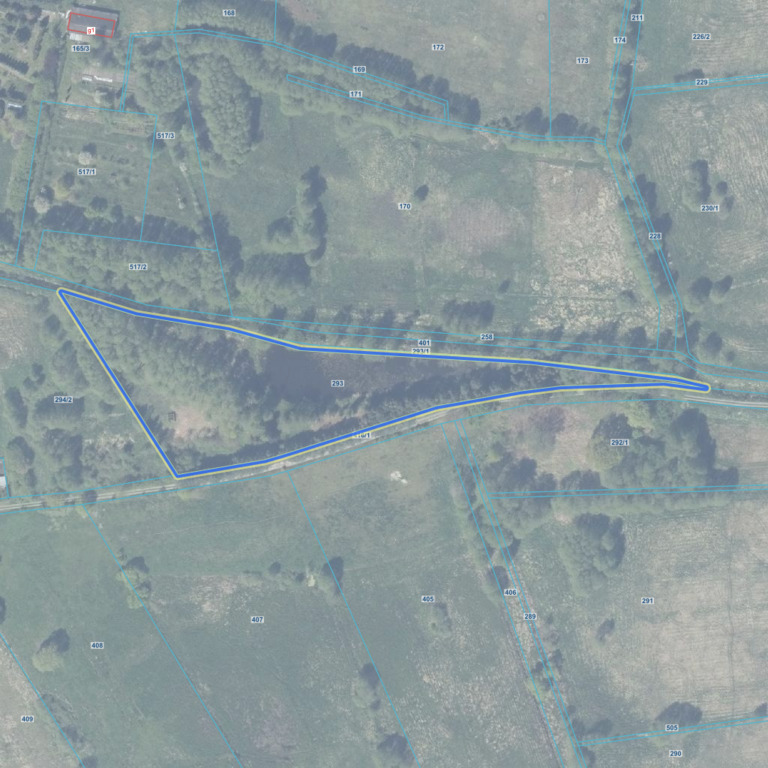 Zdjęcie 10