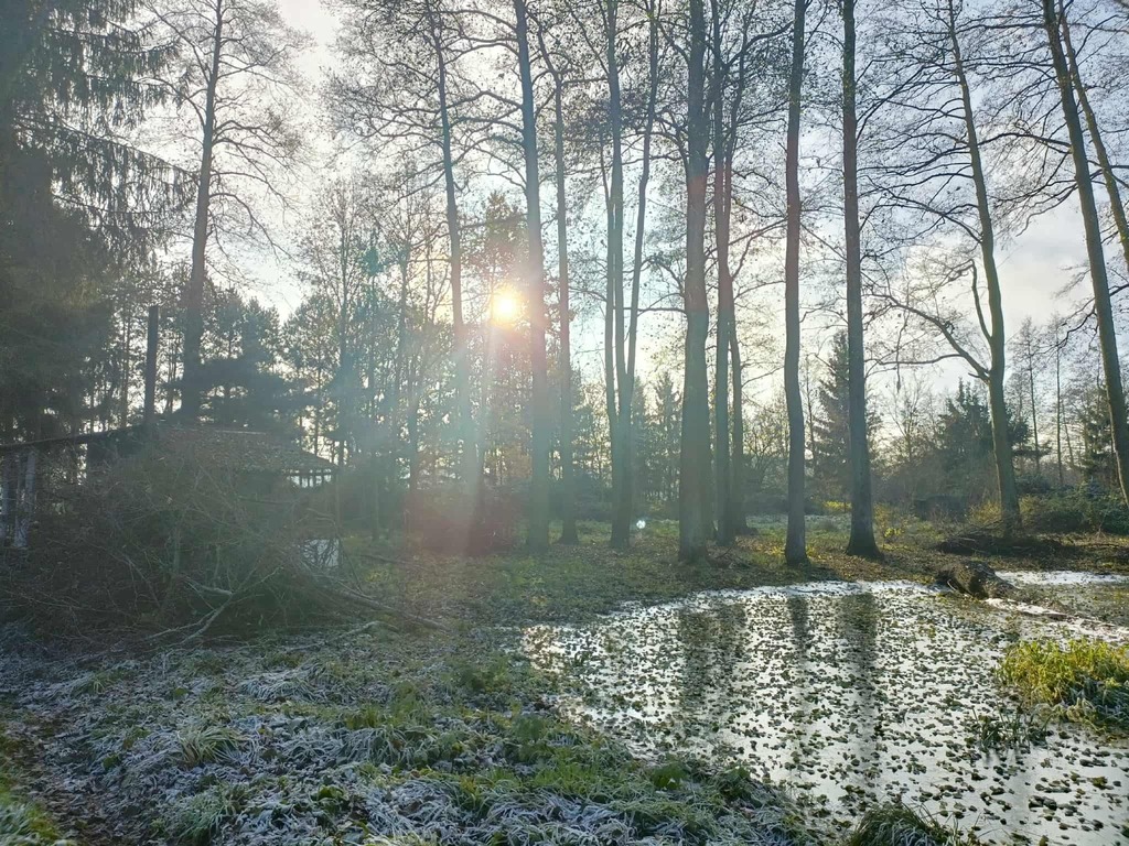 Zdjęcie 14