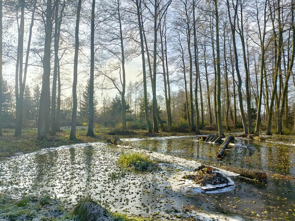 Zdjęcie 15