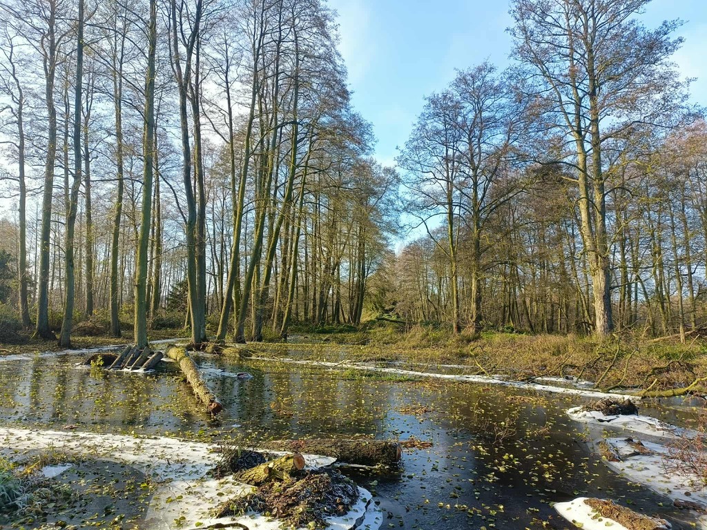 Zdjęcie 16