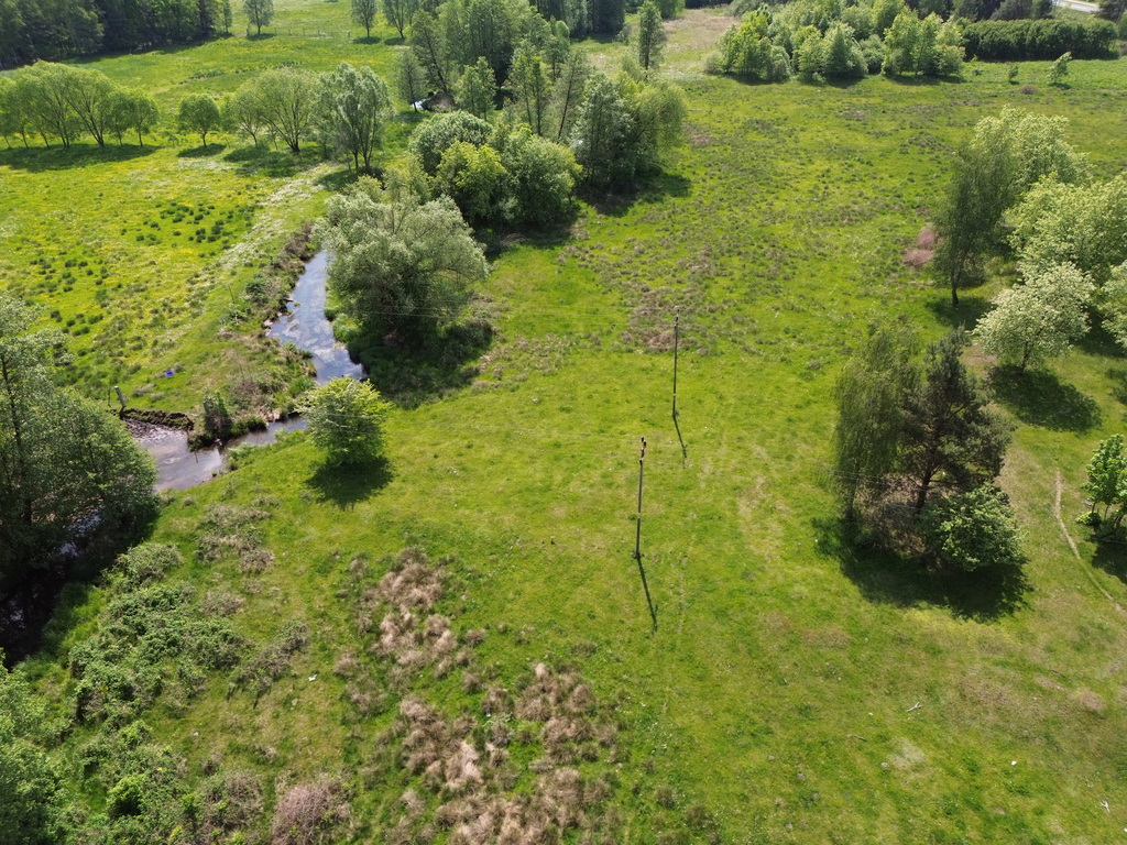 Zdjęcie 15