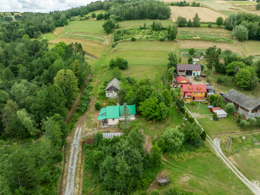 Zdjęcie 5