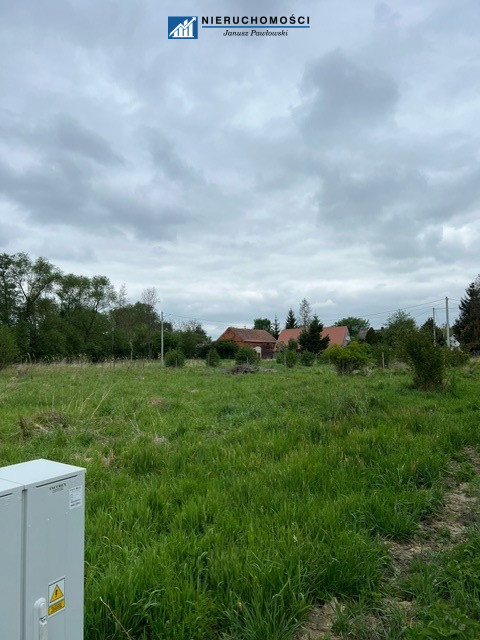 Zdjęcie 5