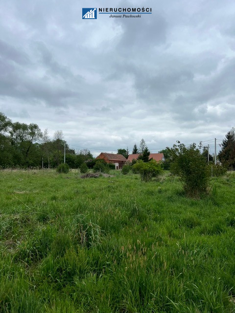 Zdjęcie 7