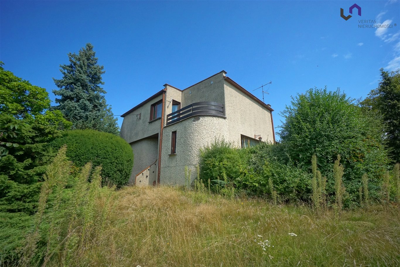 Zdjęcie 25
