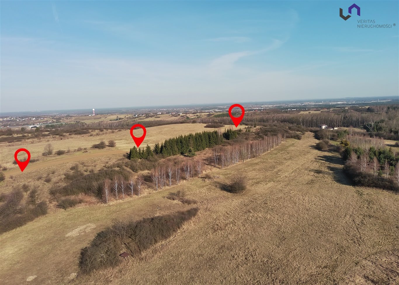 Zdjęcie 11