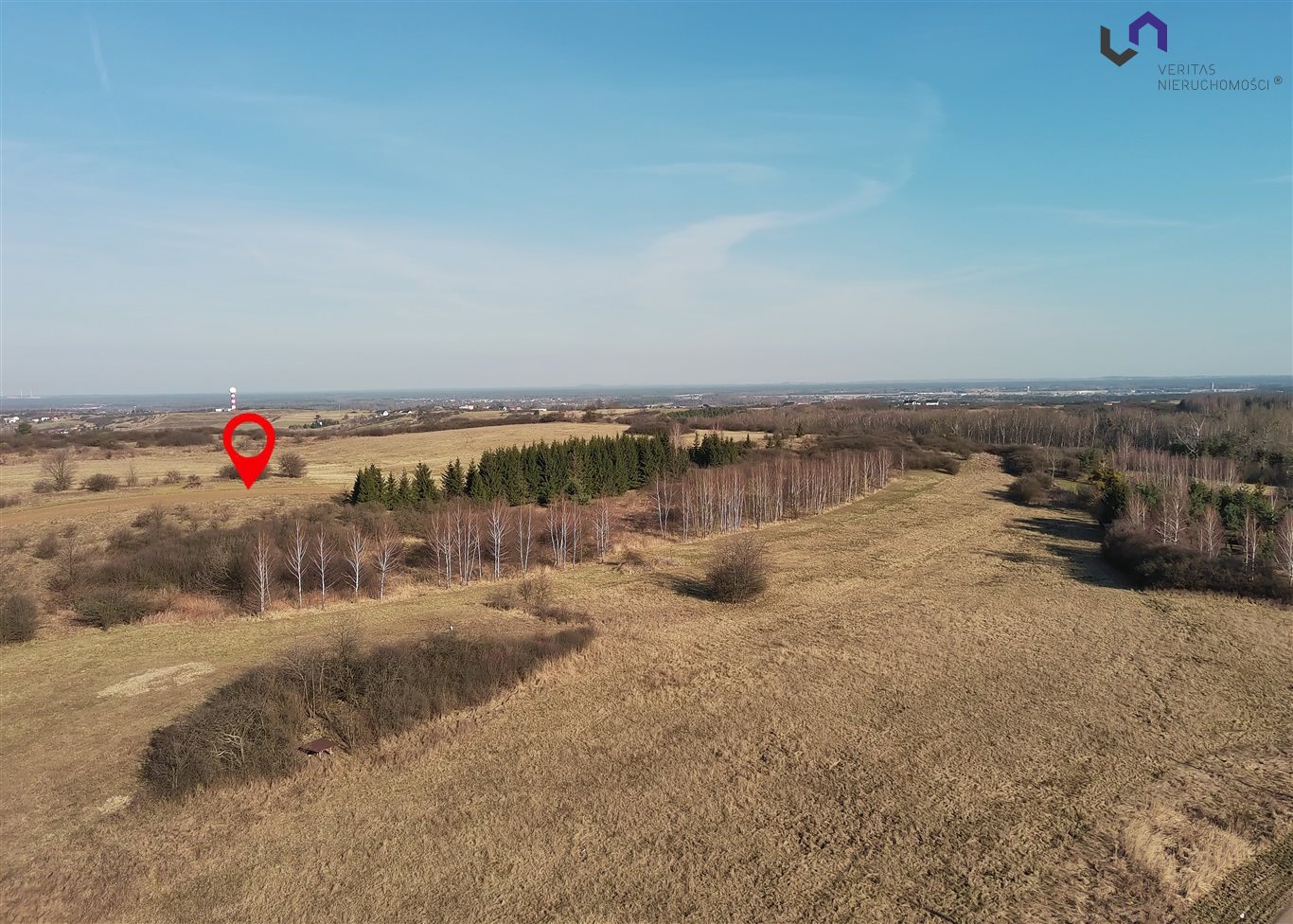 Zdjęcie 15