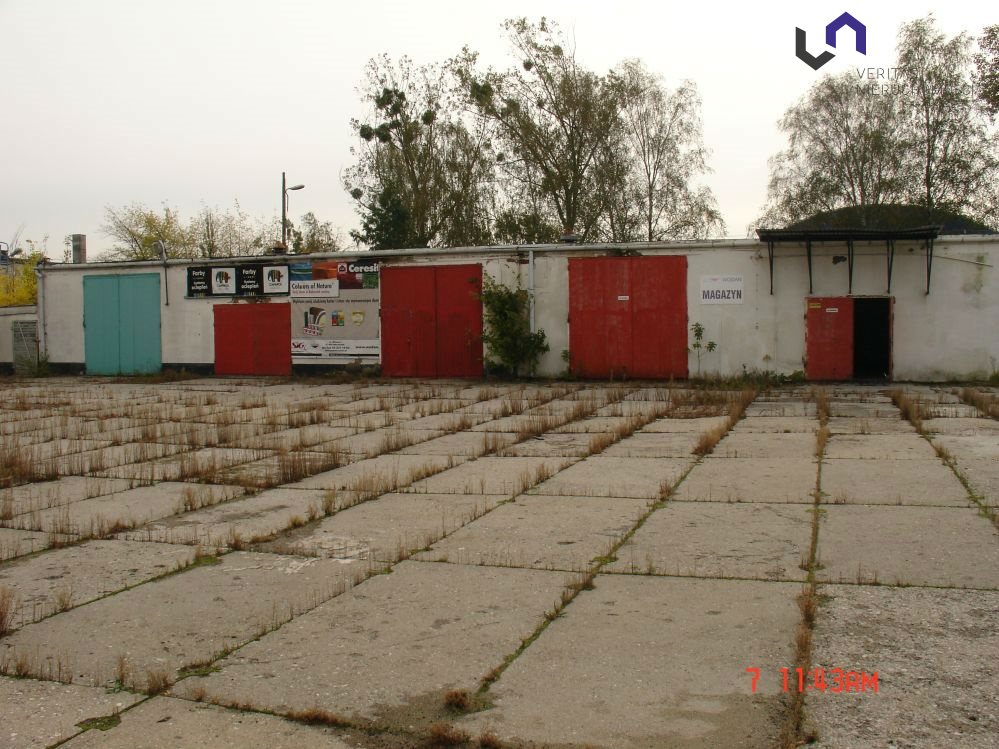 Zdjęcie 16