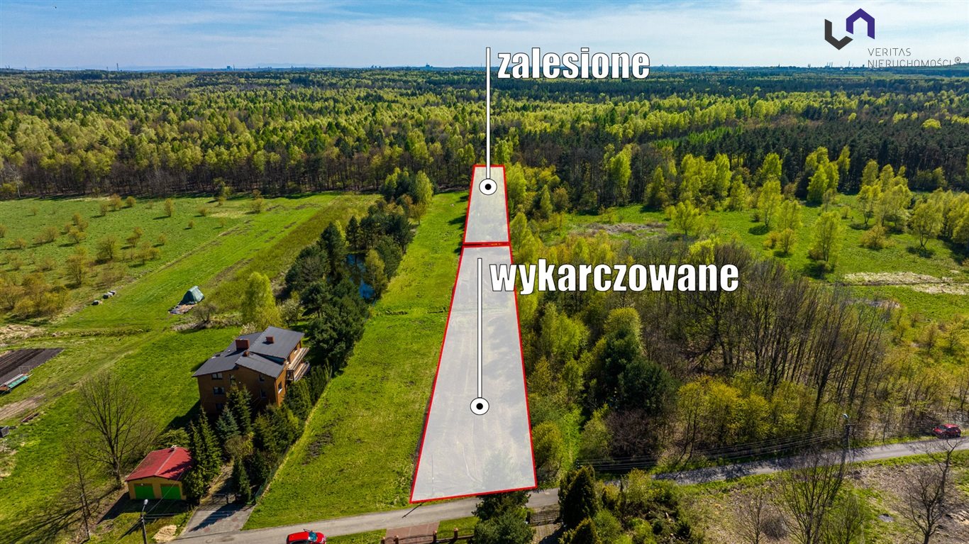 Zdjęcie 4