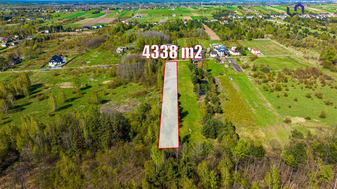 Zdjęcie 8