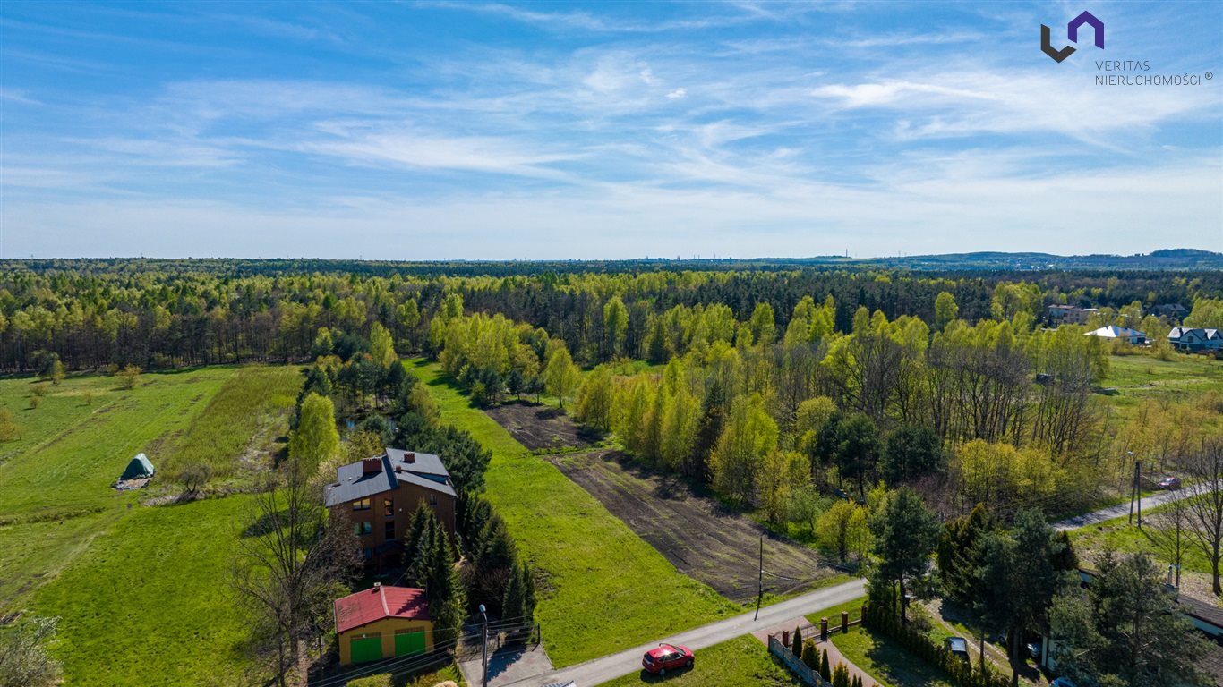 Zdjęcie 10