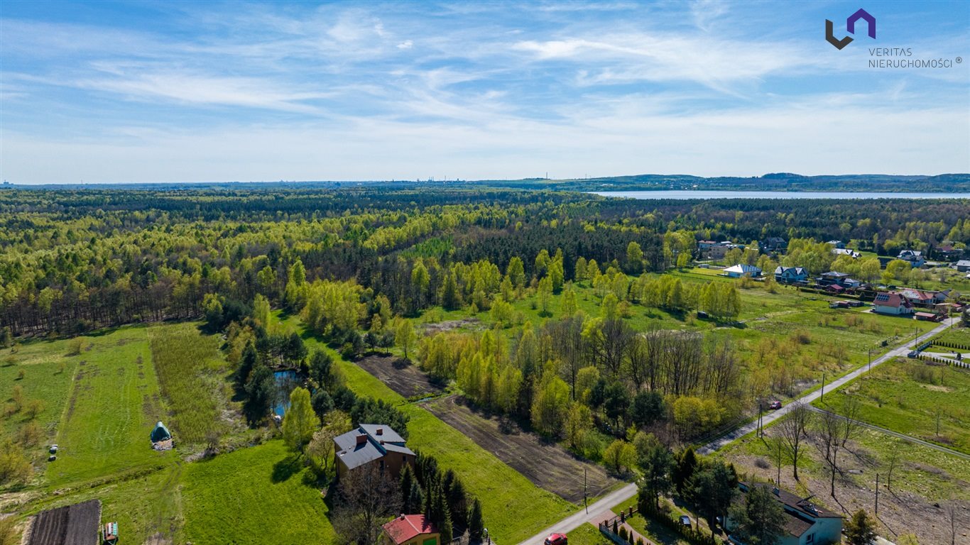 Zdjęcie 11
