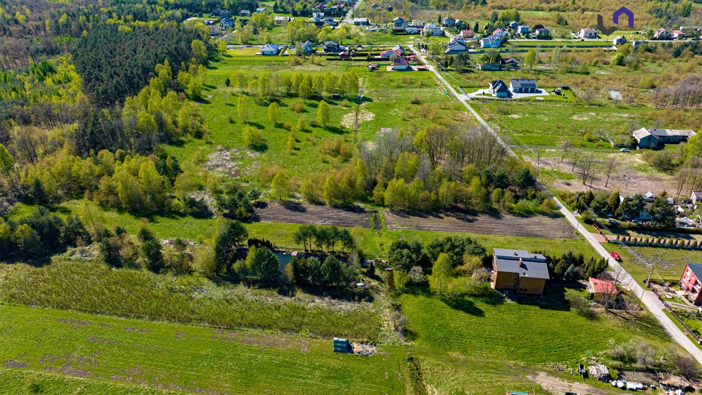 Zdjęcie 13