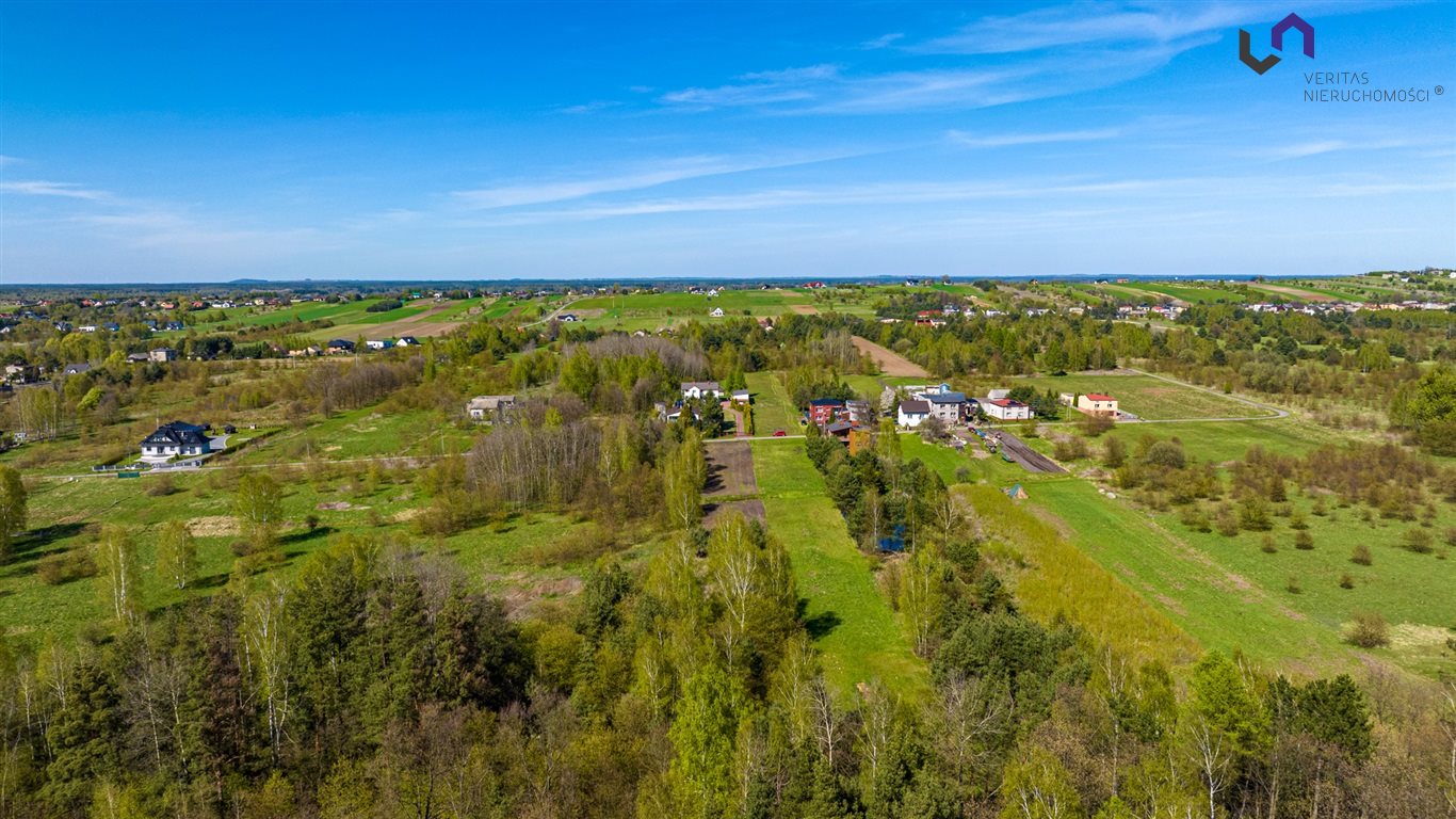 Zdjęcie 15
