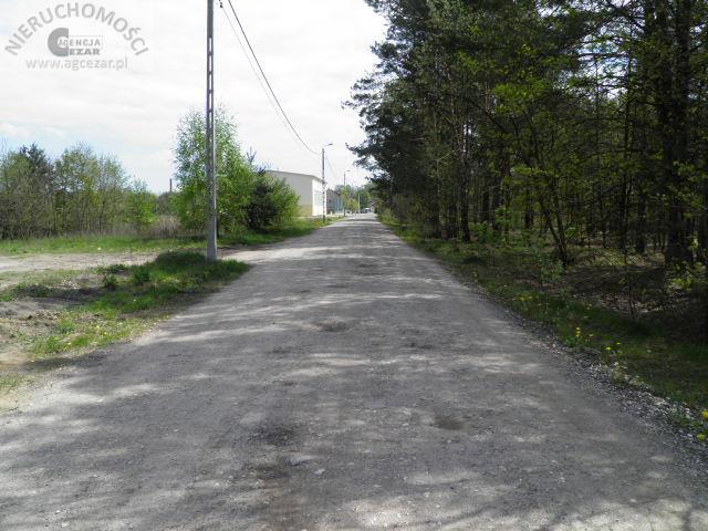Zdjęcie 4