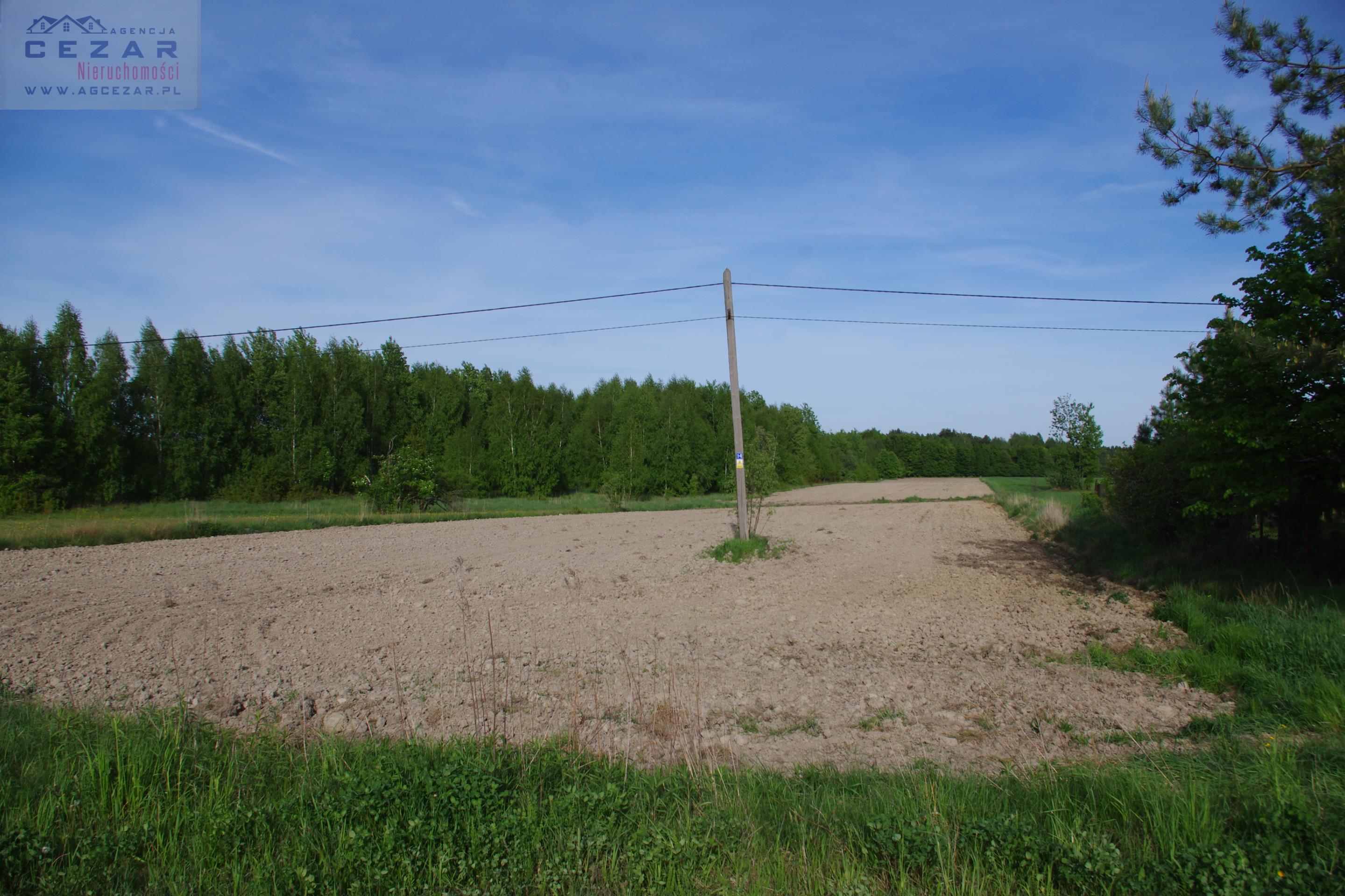 Działka rolna 1,1 ha, Strzebula