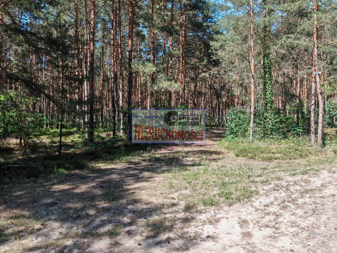 Zdjęcie 5