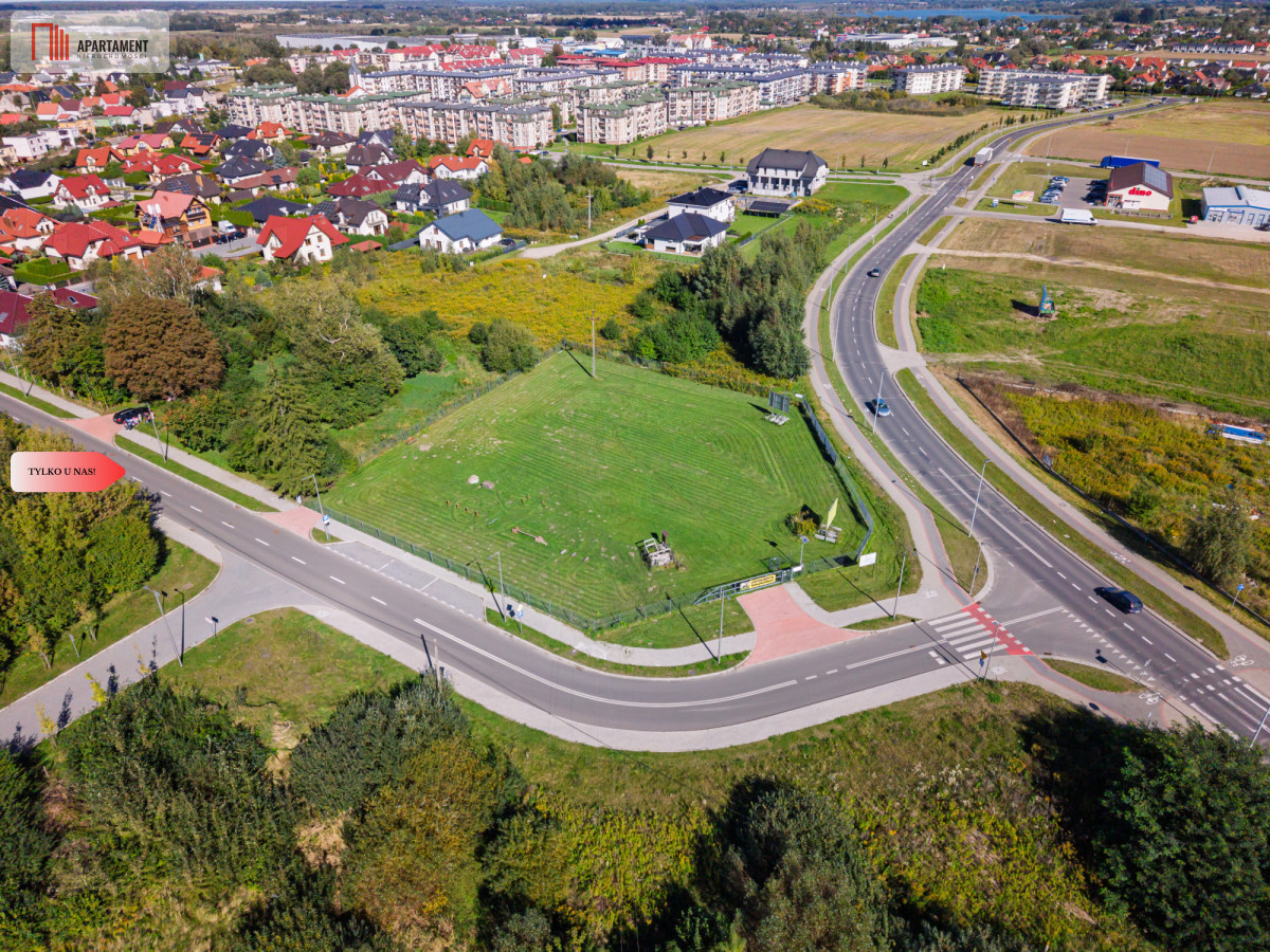 Zdjęcie 10