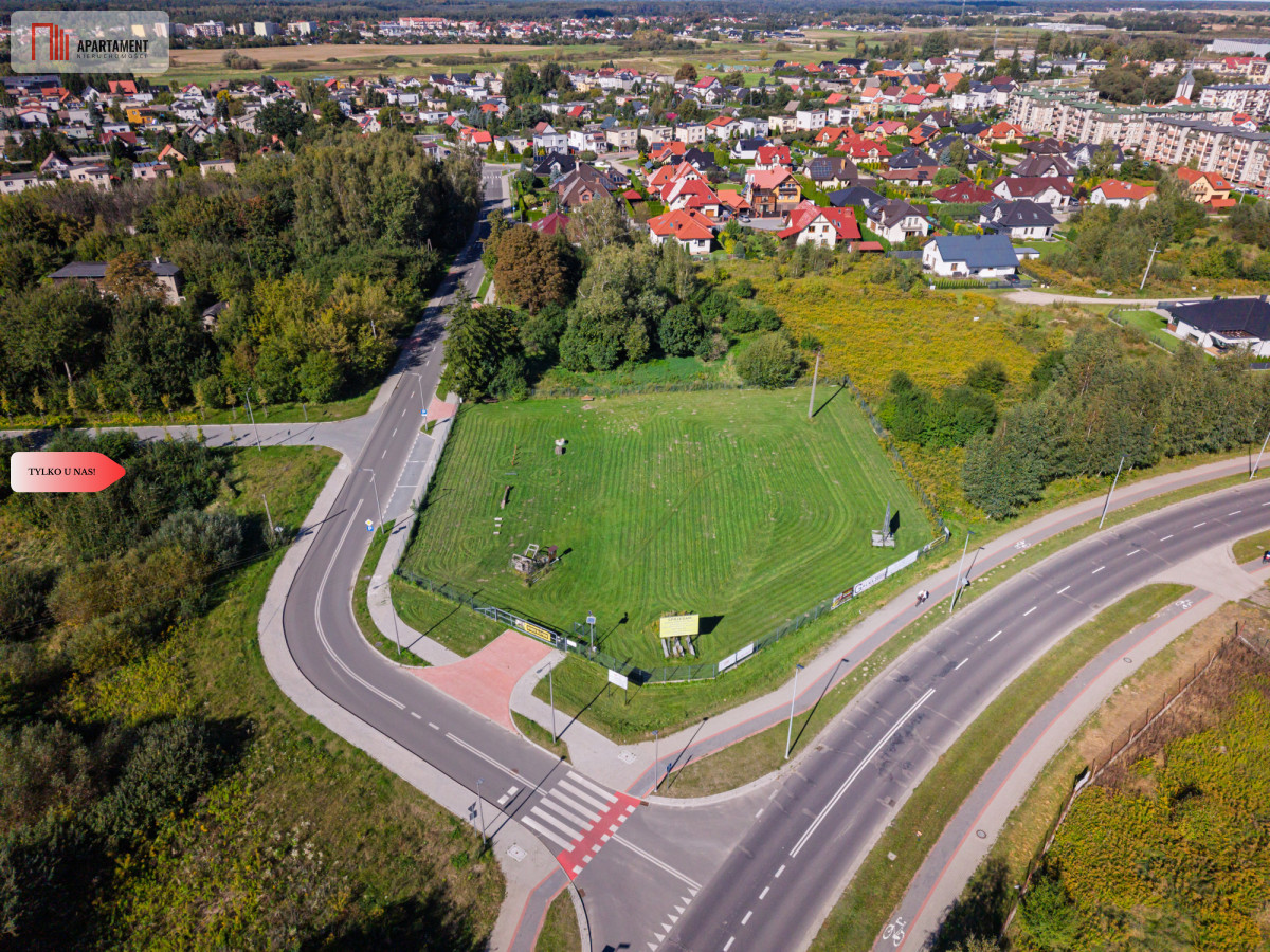 Zdjęcie 11