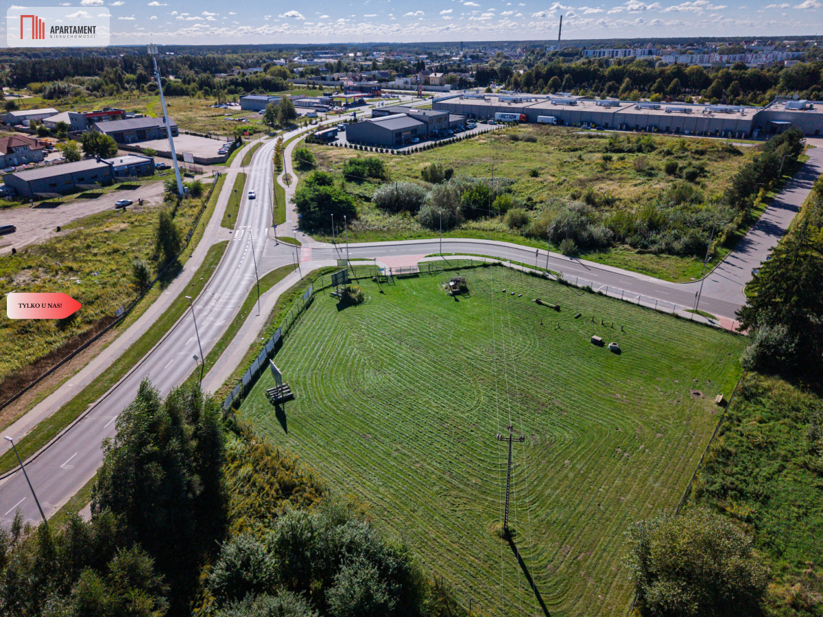 Zdjęcie 12