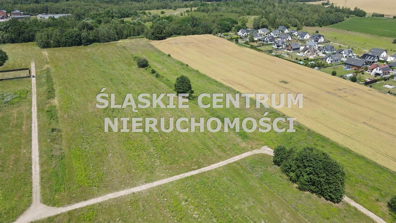 Zdjęcie 5