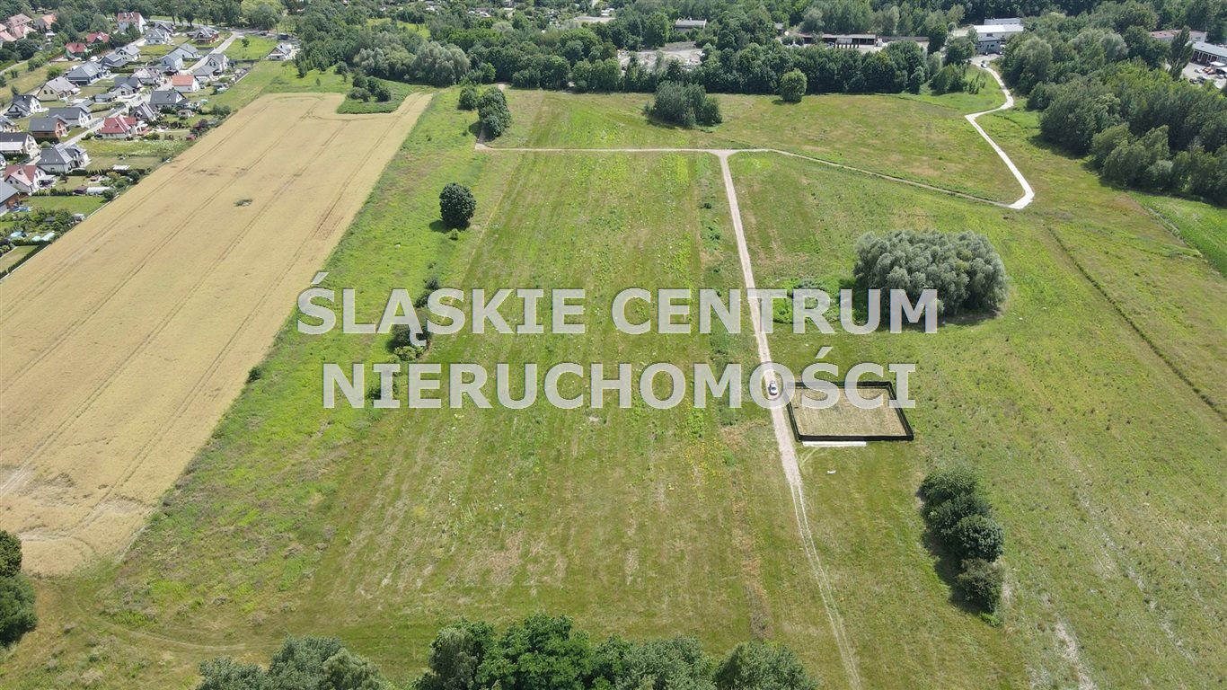 Zdjęcie 6