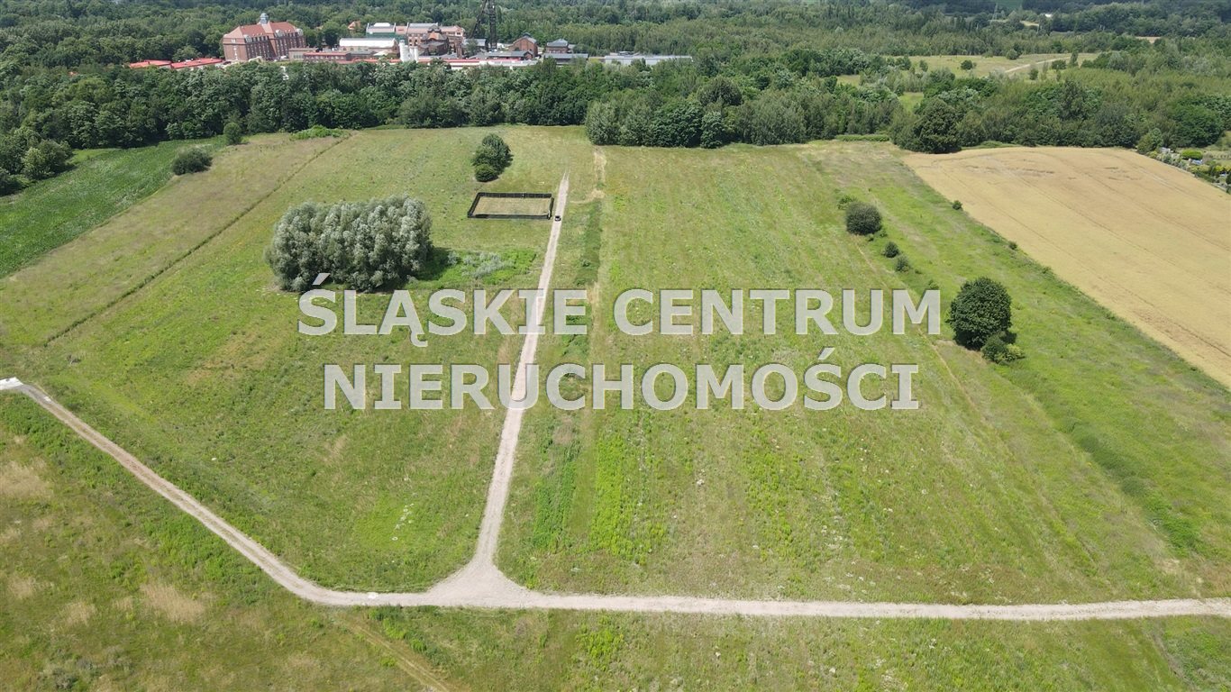 Zdjęcie 7