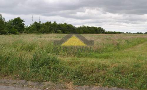 Zdjęcie 7