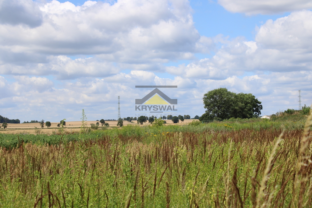 Zdjęcie 6