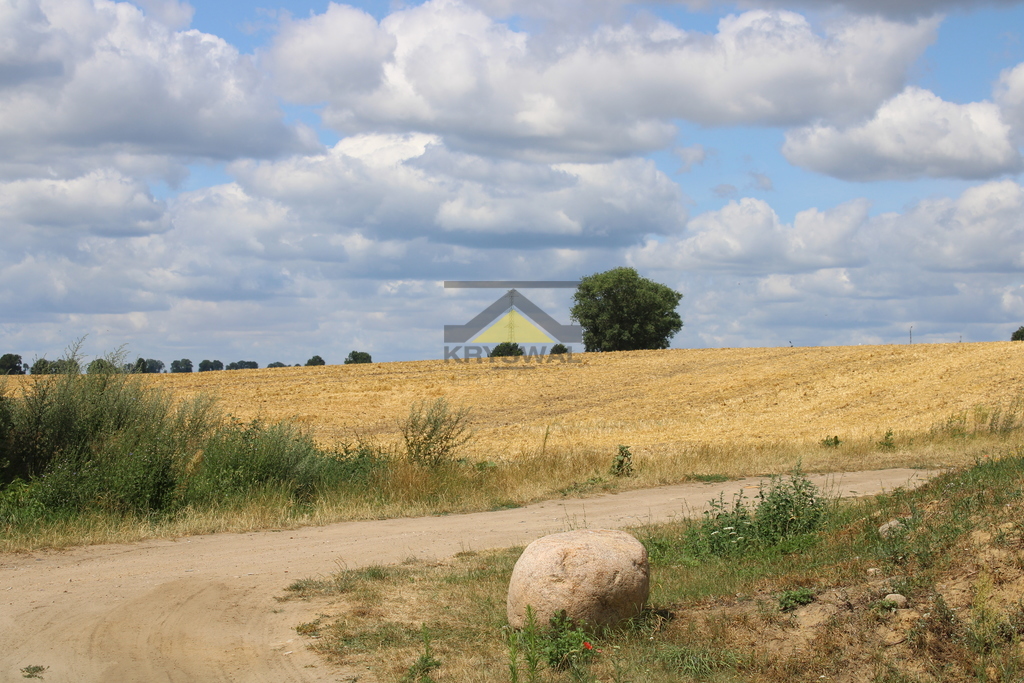 Zdjęcie 10