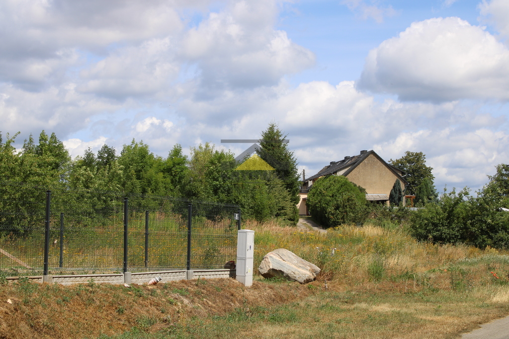 Zdjęcie 11