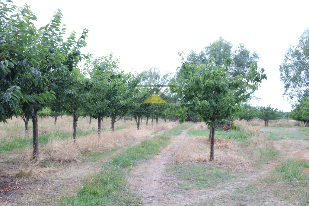Zdjęcie 6