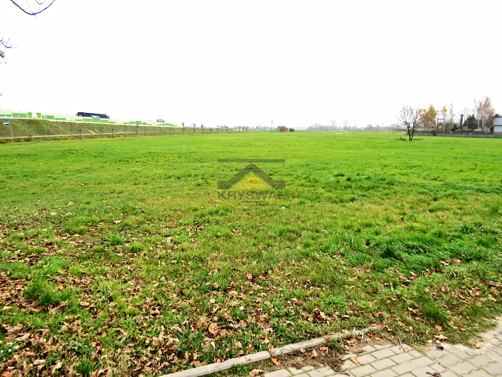 Zdjęcie 4