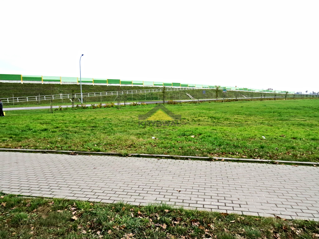 Zdjęcie 6