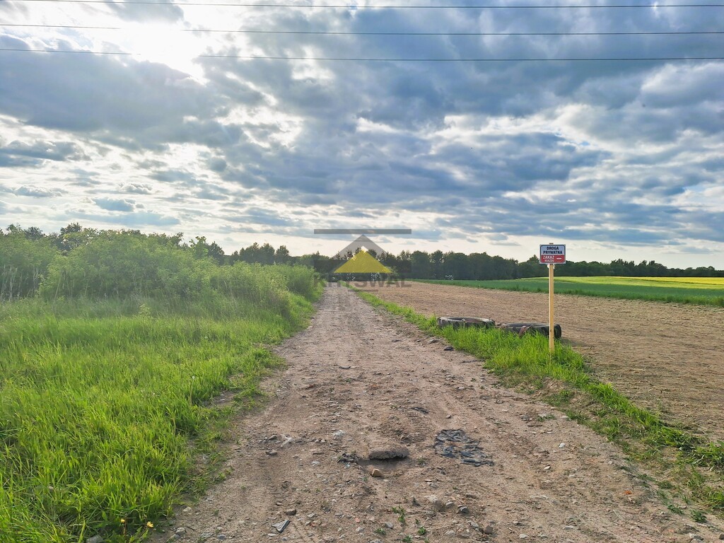 Zdjęcie 10