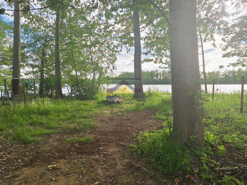 Zdjęcie 11