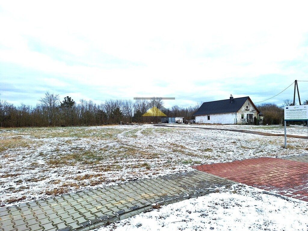 Zdjęcie 9