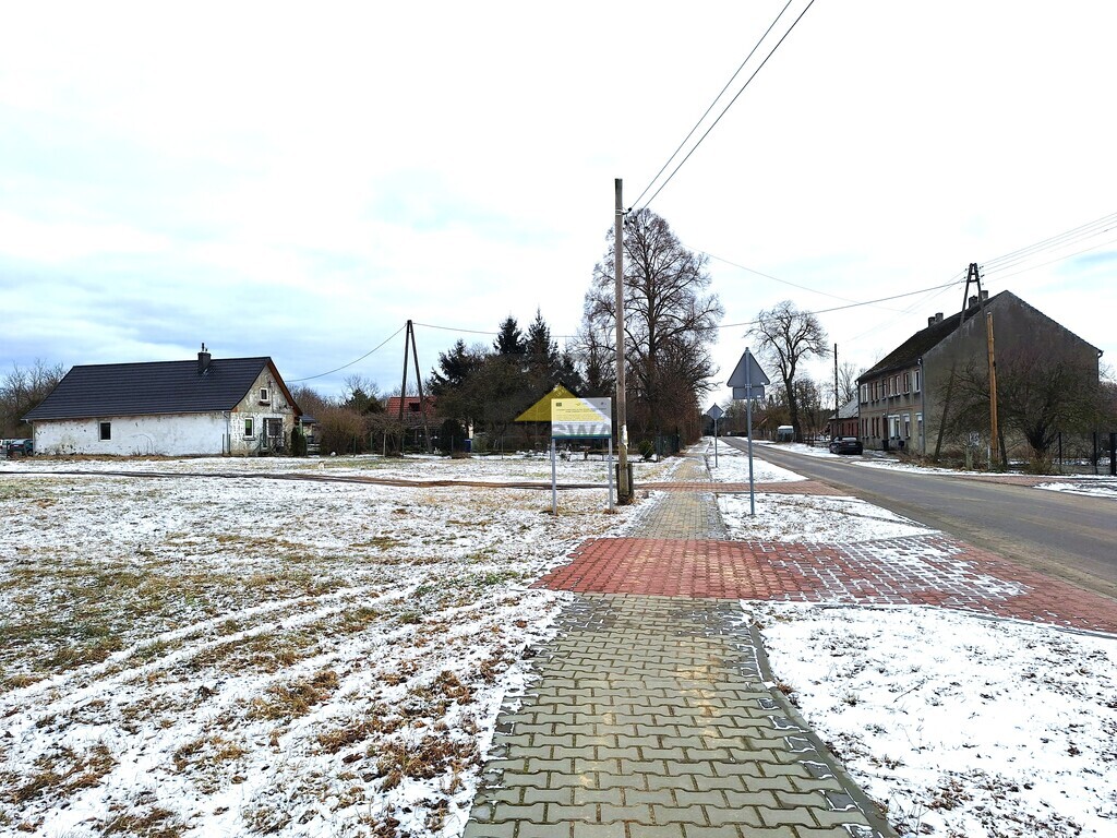 Zdjęcie 10