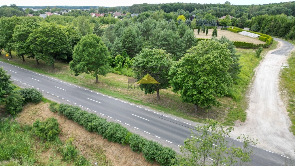Zdjęcie 13