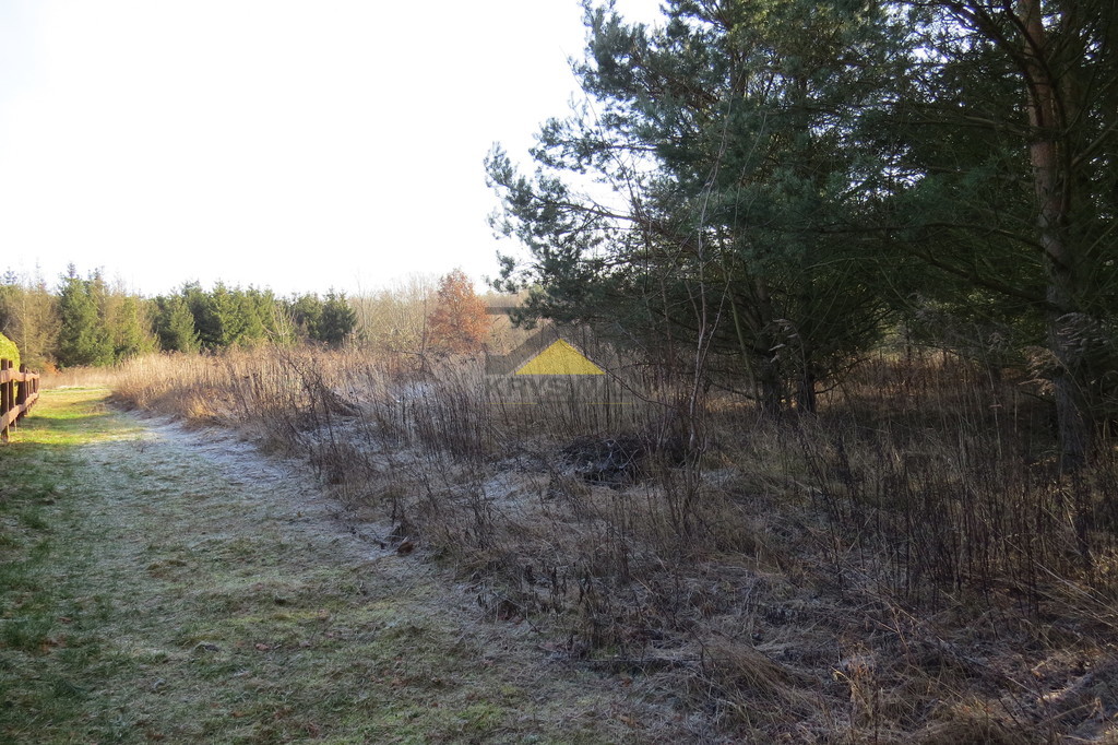 Zdjęcie 20