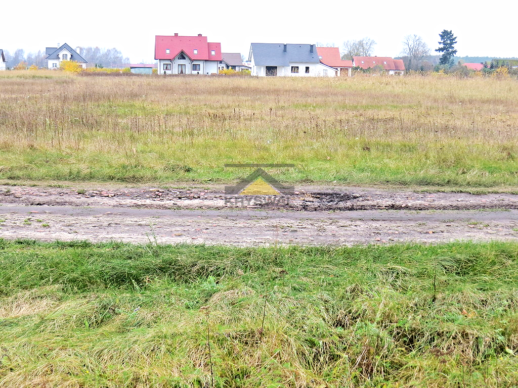 Zdjęcie 5